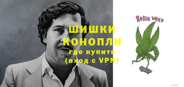 гашик Кодинск