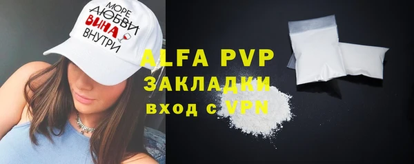 крисы Козельск