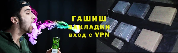 крисы Козельск