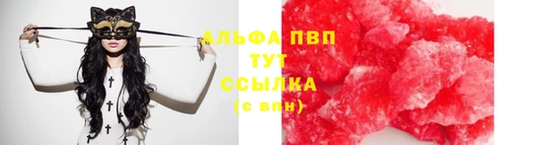 гашик Кодинск