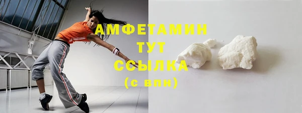 крисы Козельск