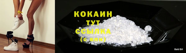 крисы Козельск