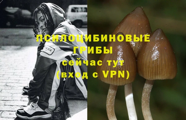 гашик Кодинск