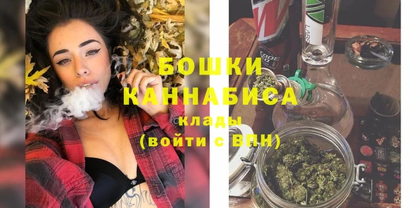 крисы Козельск