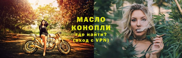крисы Козельск