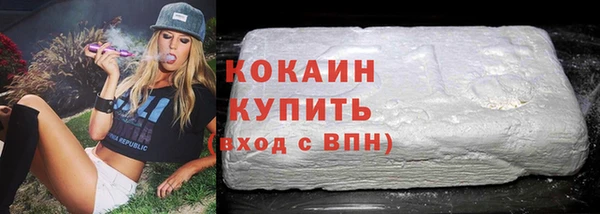 крисы Козельск